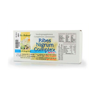 Ribes Nigrum Complex 20 X 10 ml